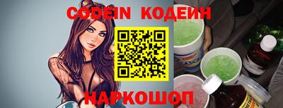 стафф Гатчина