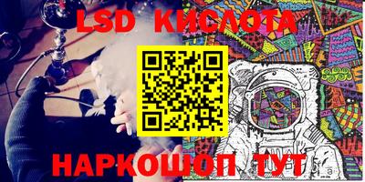 стафф Гатчина