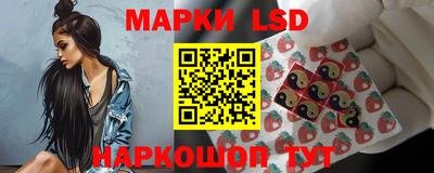 стафф Гатчина