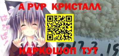стафф Гатчина