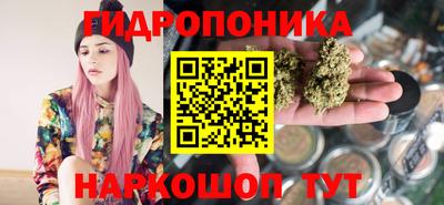 стафф Гатчина