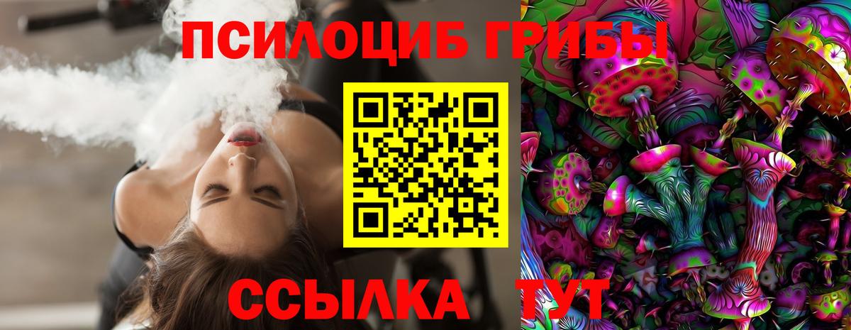 Набережные Челны  Псилоцибиновые грибы Psilocybine cubensis  Вход с VPN 
